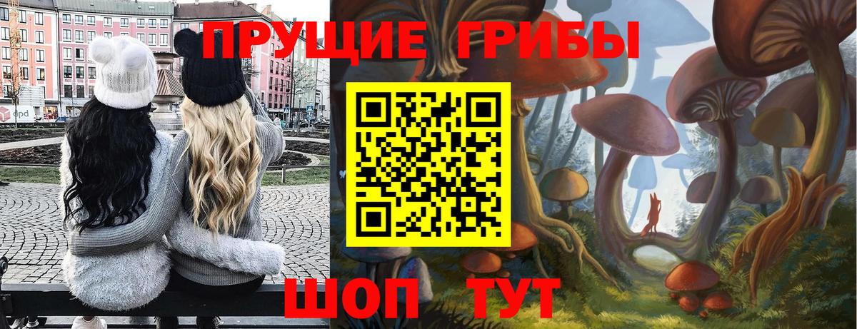 Псилоцибиновые грибы прущие грибы  Вход с VPN  купить наркотик  Ачинск 